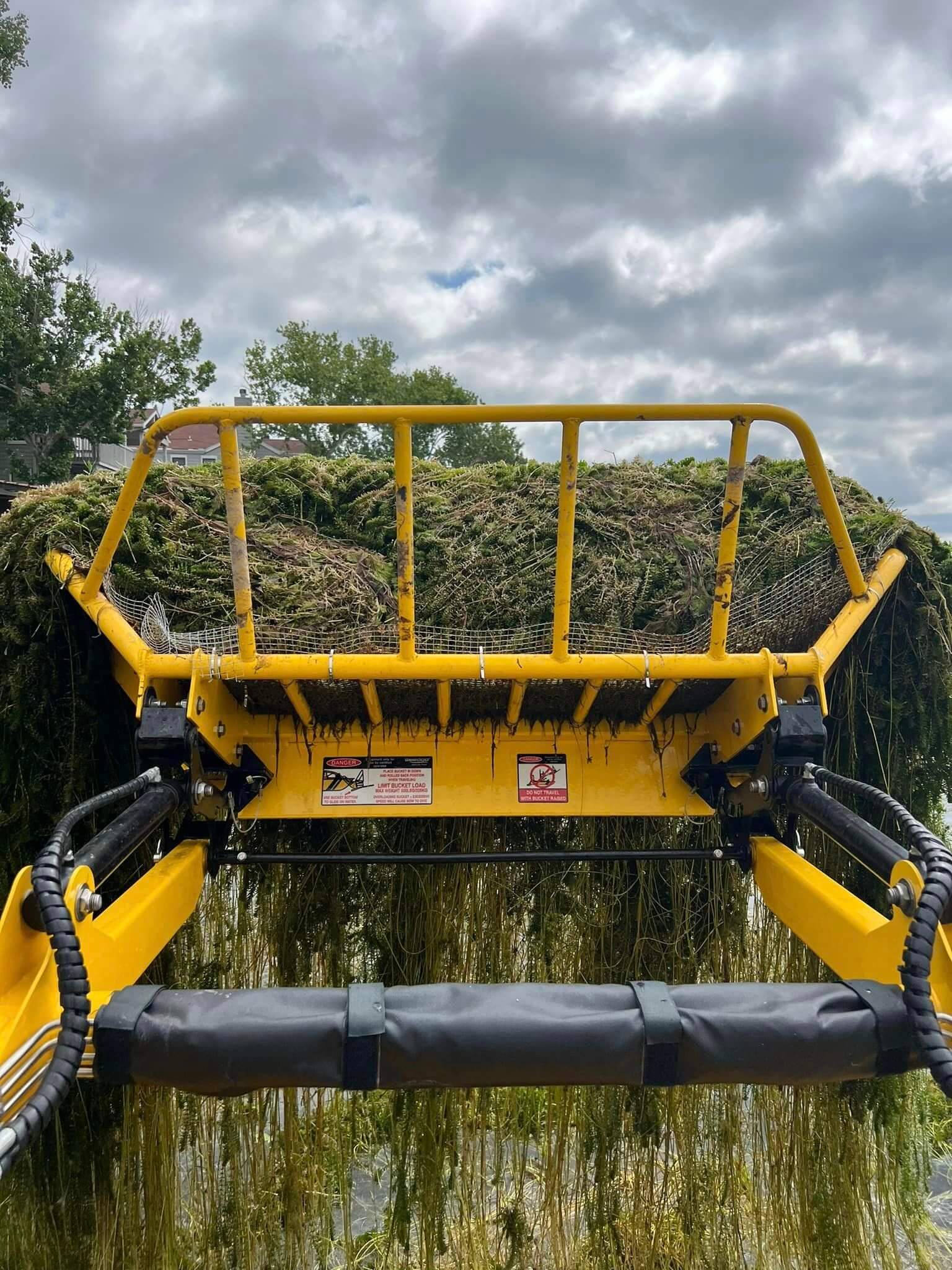 bucket+full+of+weeds