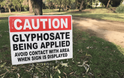 Exploring the Impact of Glyphosate Contamination on Water Ecosystems