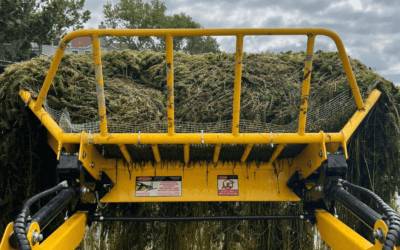 Battling the Invasion: The Threat of Invasive Water Weeds in Texas